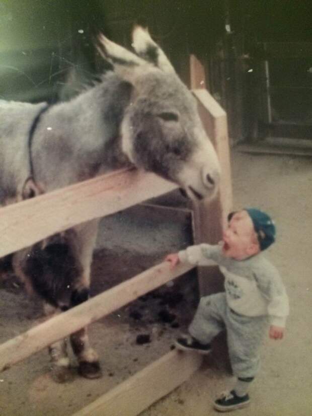 Фотоподборка
