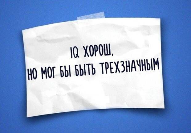 Юмор жизни в одностишьях