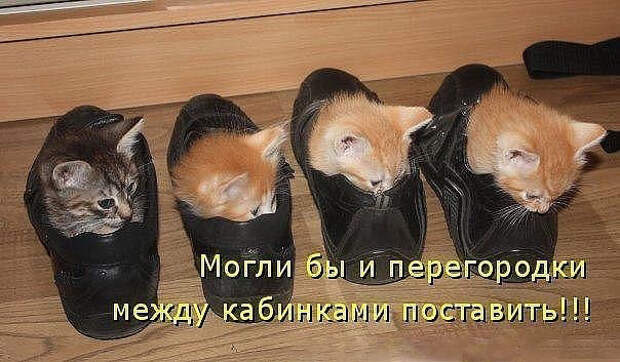 image (604x353, 192Kb)