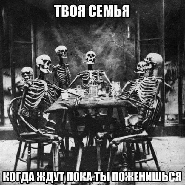 Прикольные картинки (102 фото)