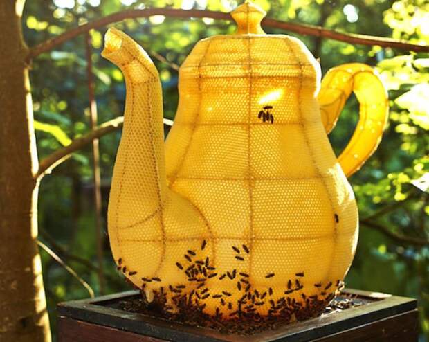 60 000 пчел вылепили миленький чайник искусство, пчёлы, соты