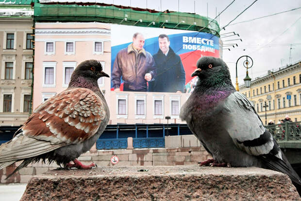 Новая история России глазами российских фотографов. Часть 2. 2008–2015