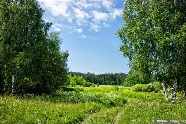 Дорога через поле в лес