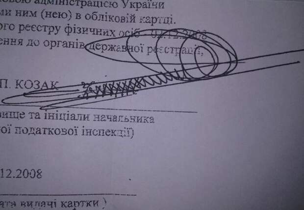 самые странные и смешные подписи в документах