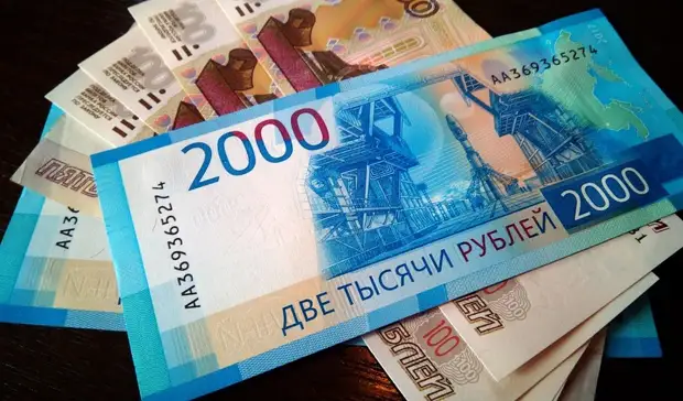 Ставропольские НКО решили заработать на военной спецоперации