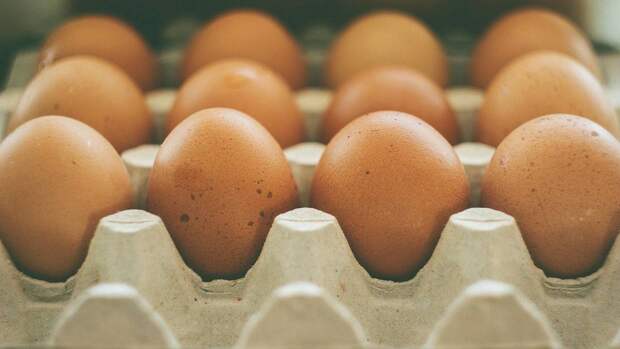 Диетолог Риццо сообщила правильный способ употребления яиц для похудения