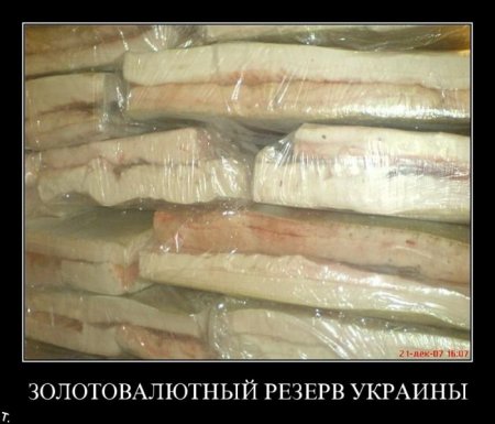 Фото демотиваторы.