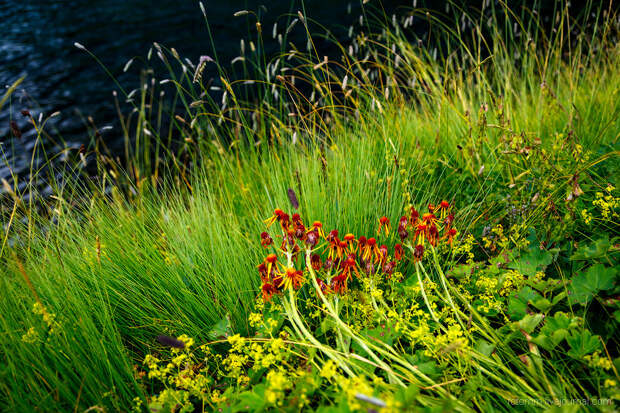 Озеро Семицветное на Кавказе Озеро Семицветное на Кавказе