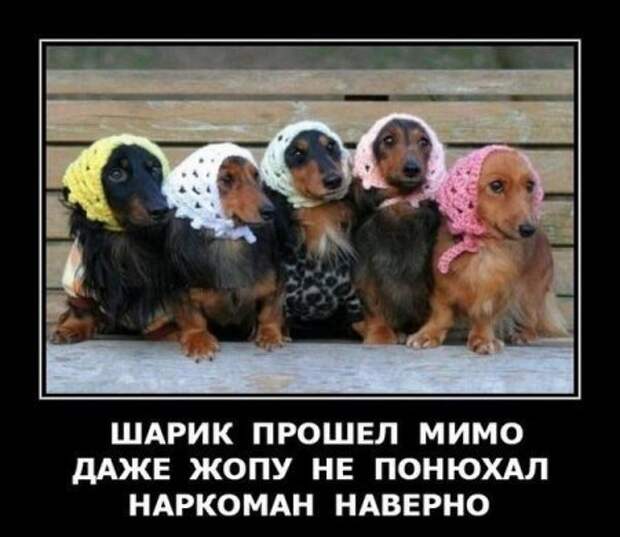 Прикольные демотиваторы, самое главное что вовремя.