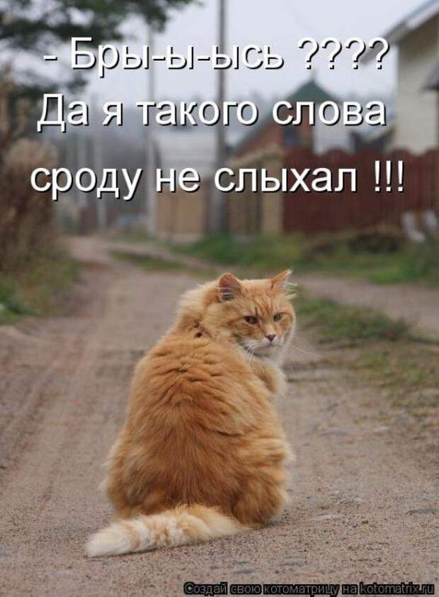 Мысли вслух :)