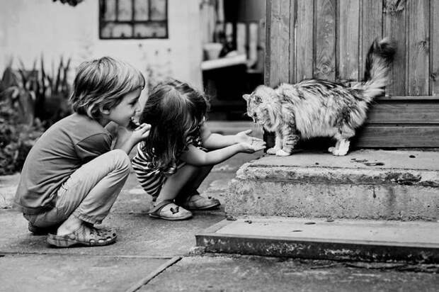 children-cat-playing-photography-10_result