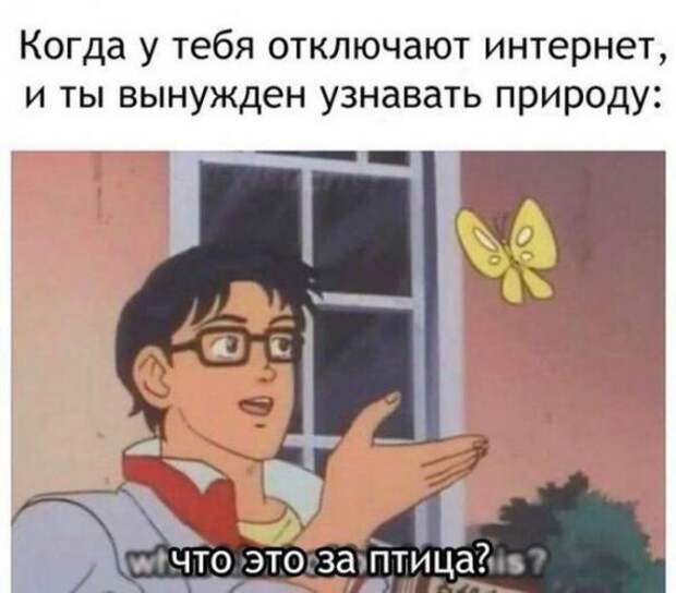 Прикольные картинки с надписями=))