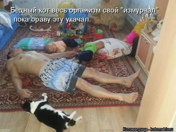 Котоматрицы(картинки с надписями)