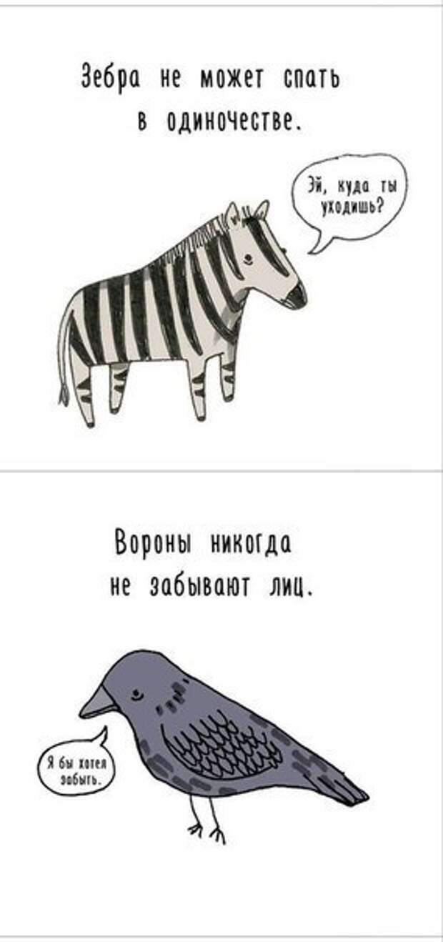 TBbmLDzscgc