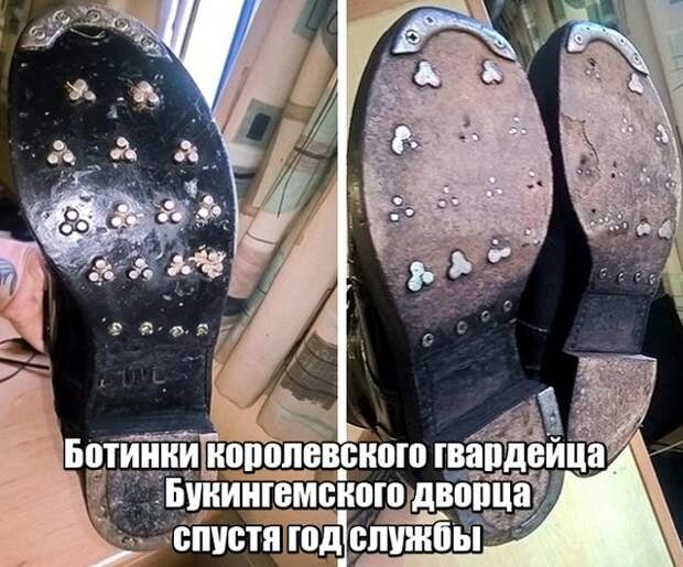 Неожиданные и необычные фото Неожиданные и необычные фото