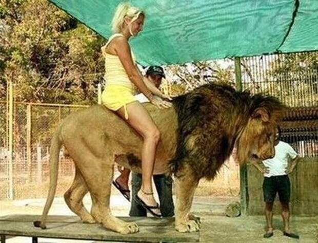 Слабоумие и отвага. Полный писец