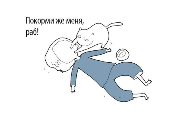 16 комиксов о том, что ваш кот на самом деле хочет вам сказать