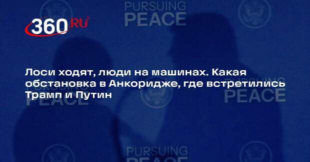 В Анкоридже, где встретились Трамп и Путин, бегают лоси и медведи