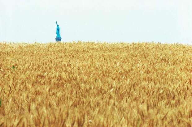 12 снимков о том, как в 1980-х годах в центре Манхэттена появилось пшеничное поле