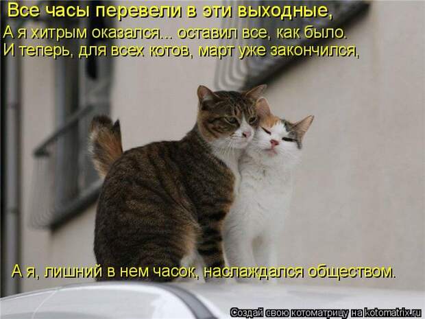 Мысли вслух :)