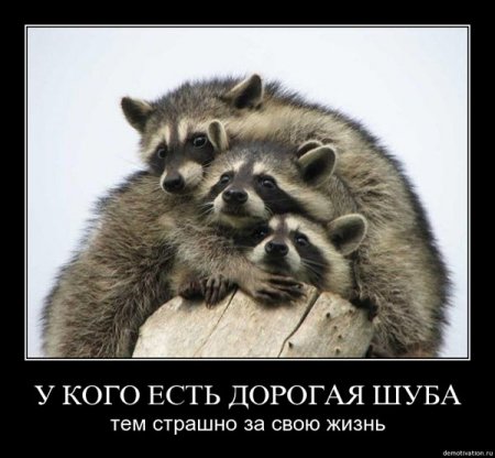 Демотиваторы про дружбу и любовь со смыслом.