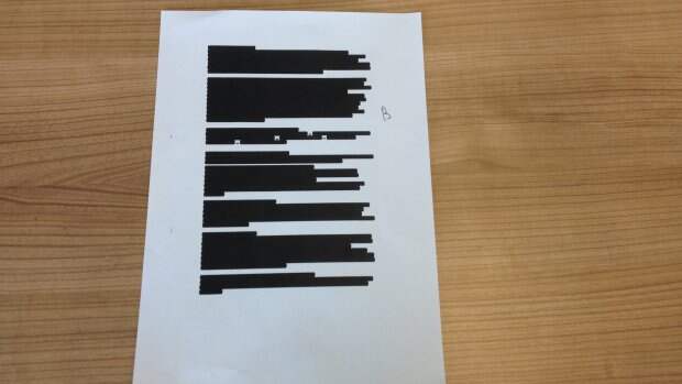 Голландцы опубликовали 569 пустых бумажек по "Боингу"