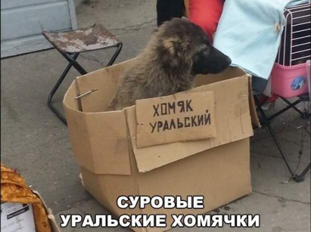 Анекдоты для настроения (17 шт)