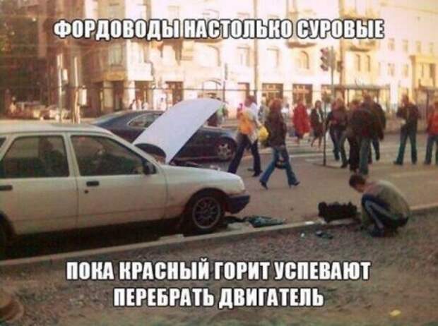 Дорожные фотоприколы!