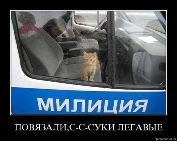Демки, будет смешно!