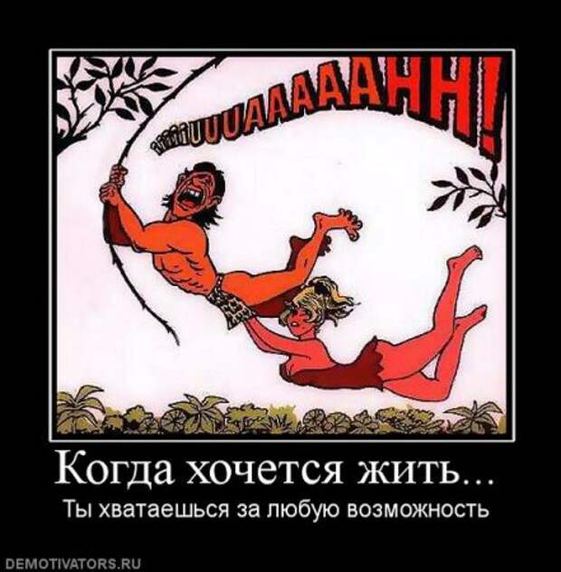 Демотиваторы смысловые.