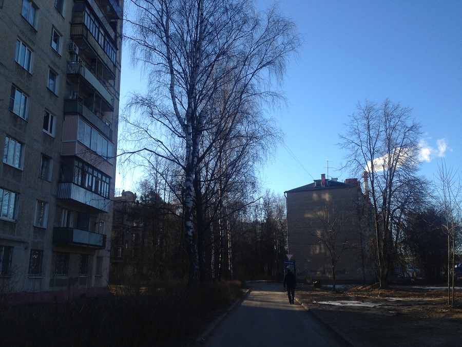 6.JPG 6.JPG