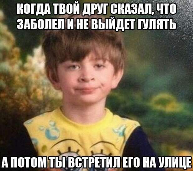 Смешные картинки с подписями катинки, прикол, юмор