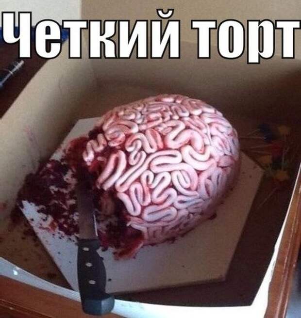 Смешные картинки с подписями катинки, прикол, юмор
