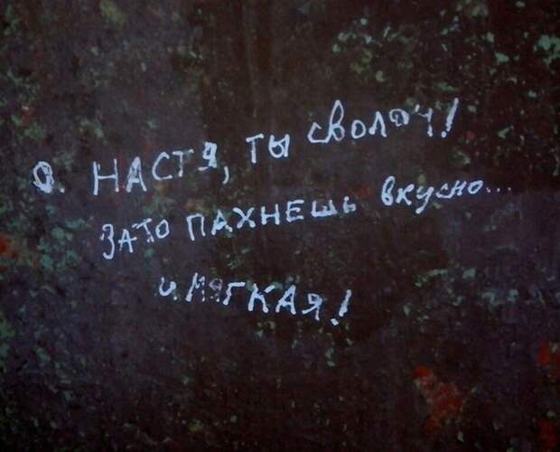 Прикольные картинки Прикольные картинки