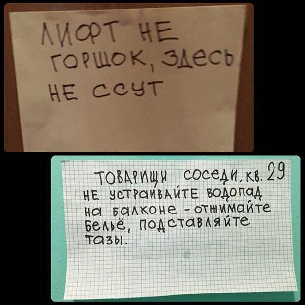 30 шедевральных объявлений из наших подъездов люди, объявления, подъезд, позитив, юмор