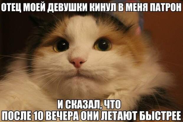 Фото, которые гарантированно поднимут вам настроение! Фото, которые гарантированно поднимут вам настроение! смешно, юмор
