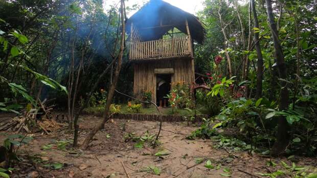 Видео: Девушка построила из бамбука виллу с бассейном в глухом лесу 