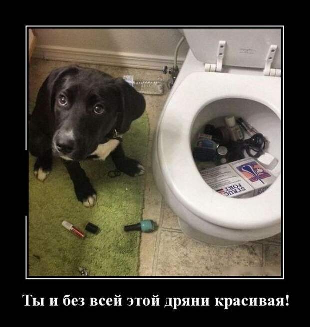 Демотиваторы