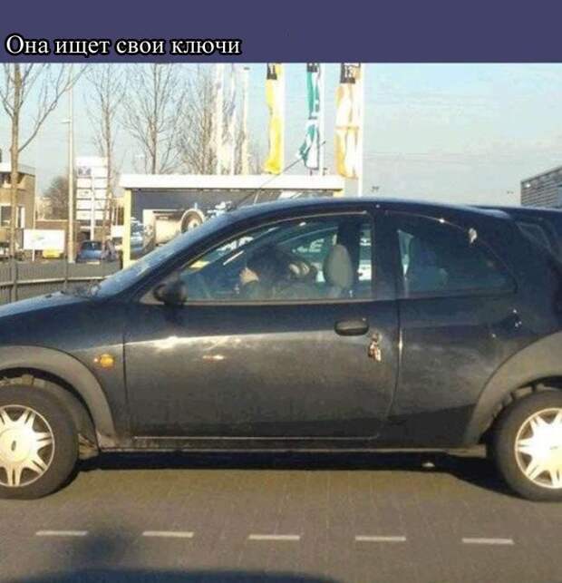 Коллекция жизненных неудач
