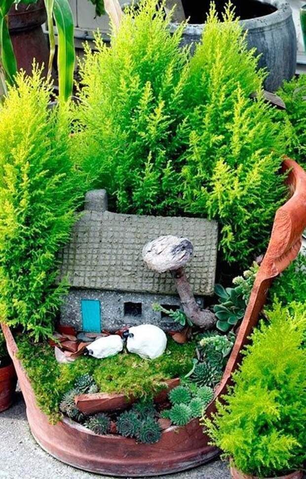 Миниатюрные сады в разбитых горшках (подборка, Diy)
