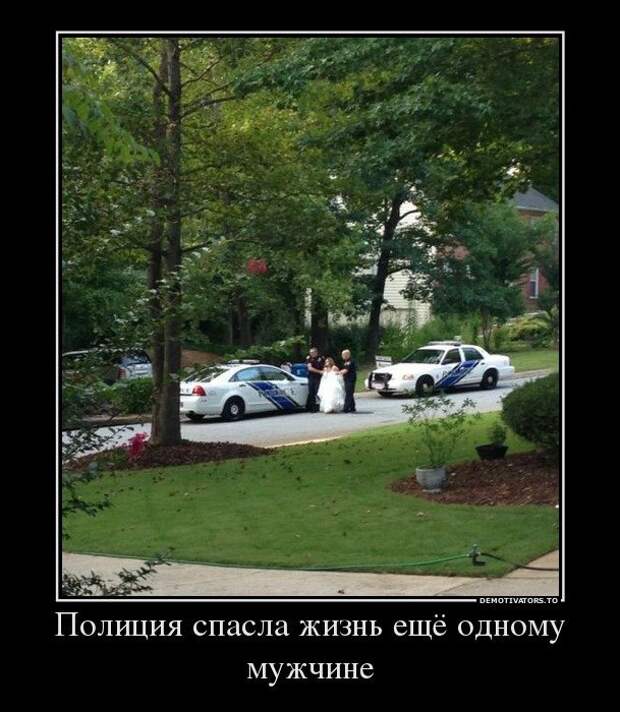 Прикольные демотиваторы Прикольные демотиваторы
