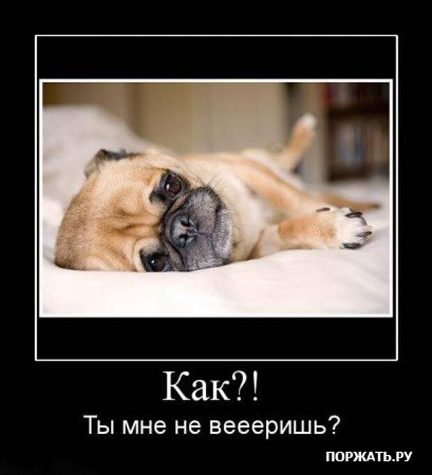 Прикольные демотиваторы (часть 1)