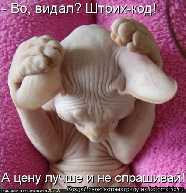 Лучшие котоматрицы за неделю