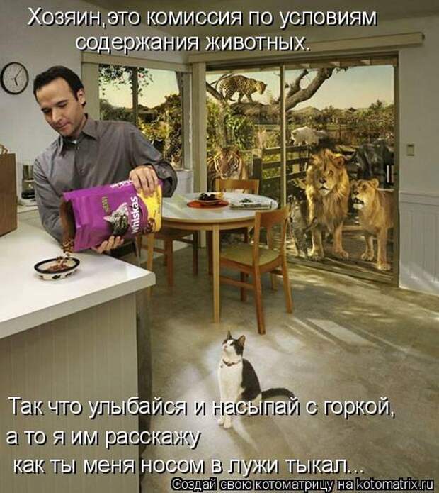 Мысли вслух :)
