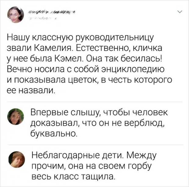 Подборка забавных комментариев