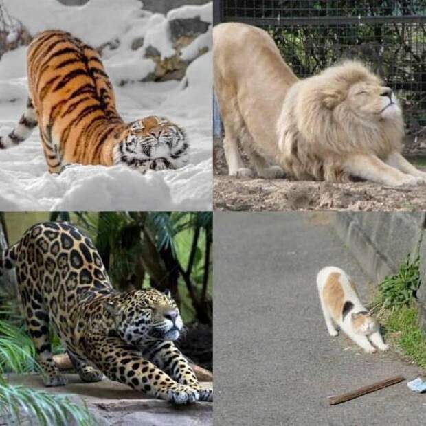 Намешалось