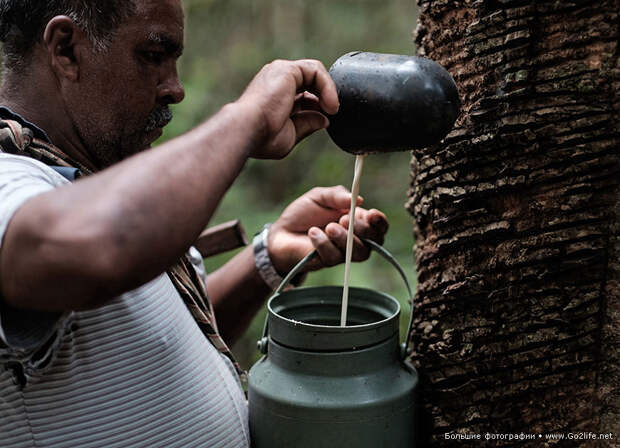 Амазонская фабрика любви