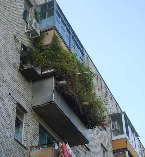 Природа всегда рядом  архитектура, балконы, пристройка
