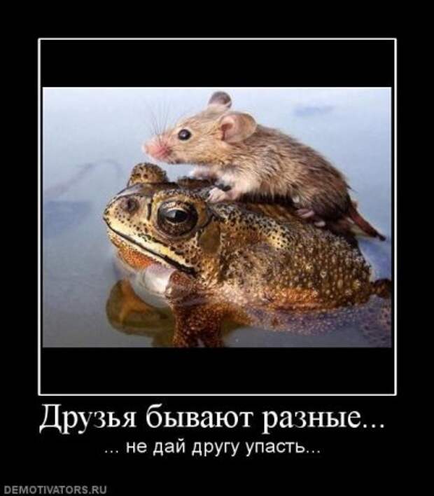 Демотиваторы со смыслом новые.