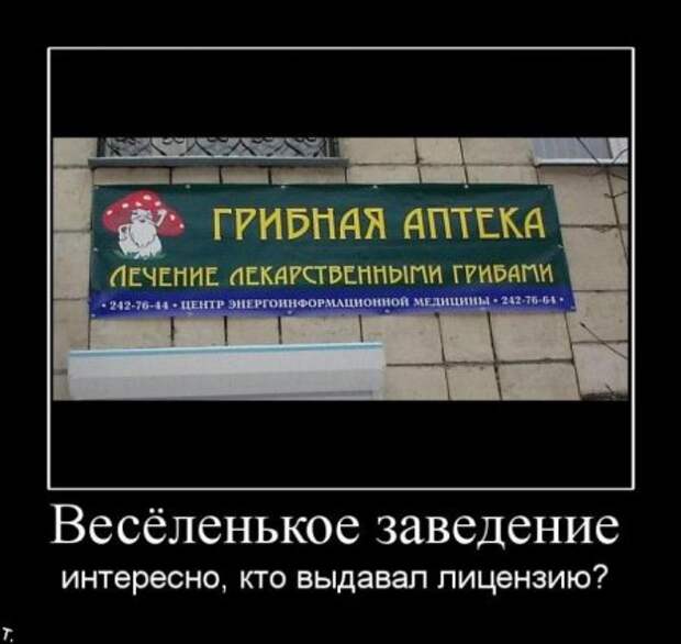 Фото демотиваторы.